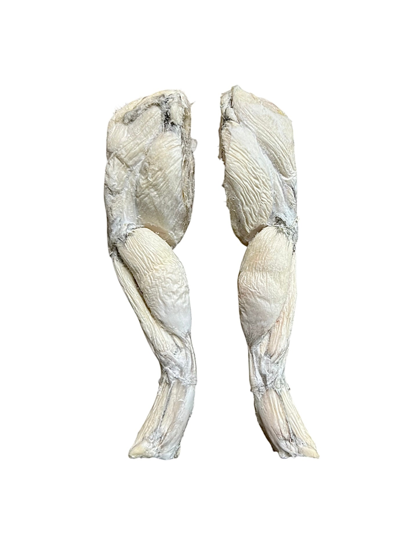 Freeze Dried Frog Legs